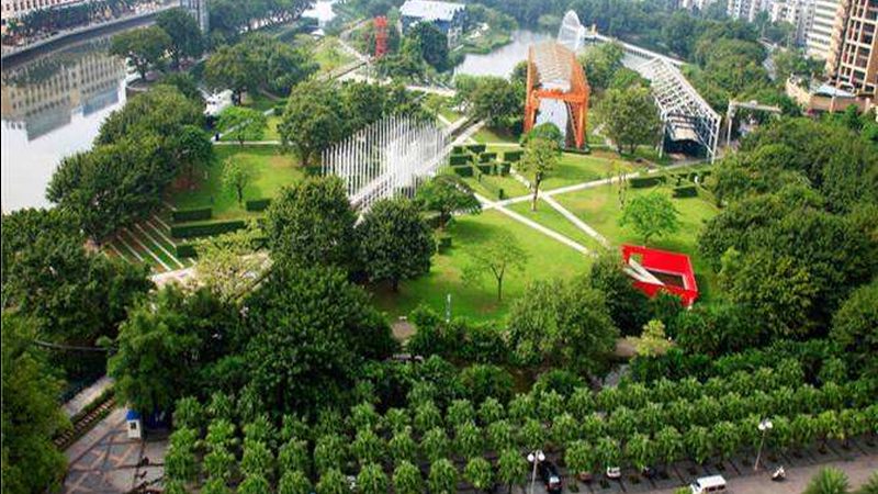 苗木种植与造林：法律法规的区别解析