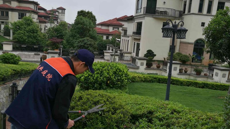 个人申请绿化资质，需满足哪些关键条件？**