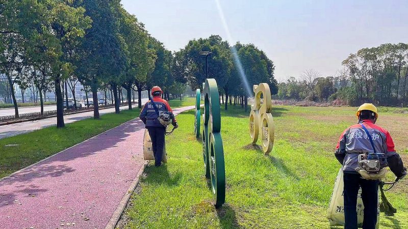 公园绿化灌木种植密度参数解析**