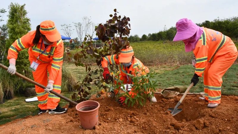 绿化养护招标报价清单：编制要点与注意事项**