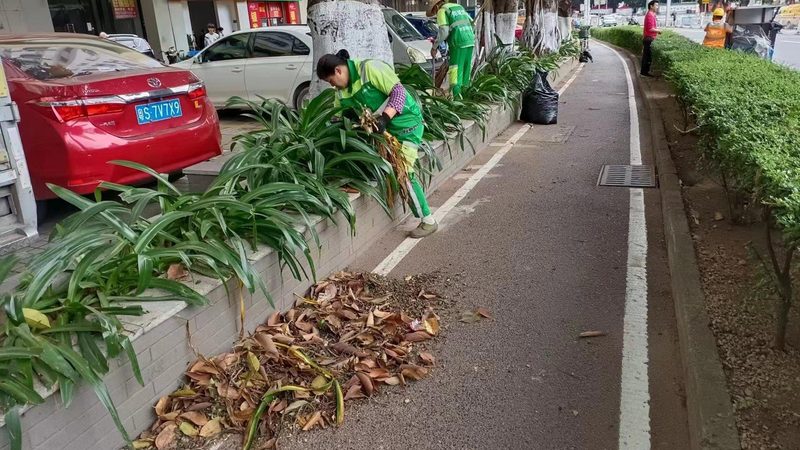 校园草坪铺设：如何选择性价比高的厂家**