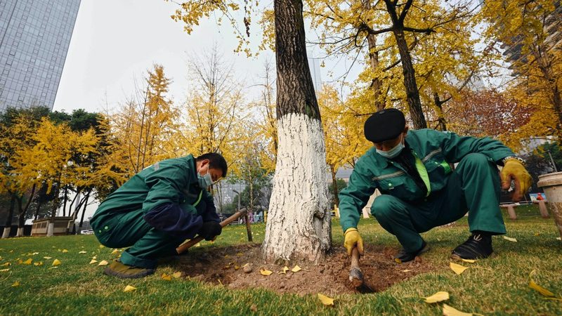 商业区绿化养护每平米报价：揭秘影响因素与合理范围