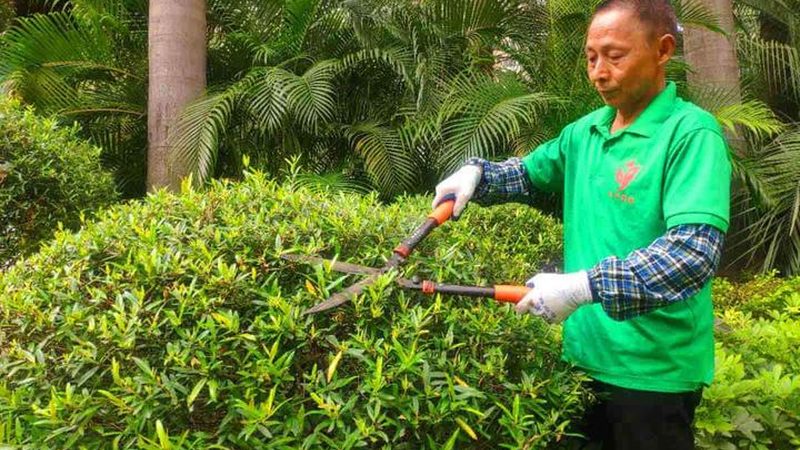 高速公路边坡绿化哪家专业