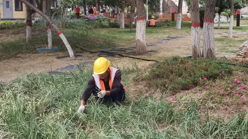 别墅花园景观设计：避坑指南，打造理想家园**