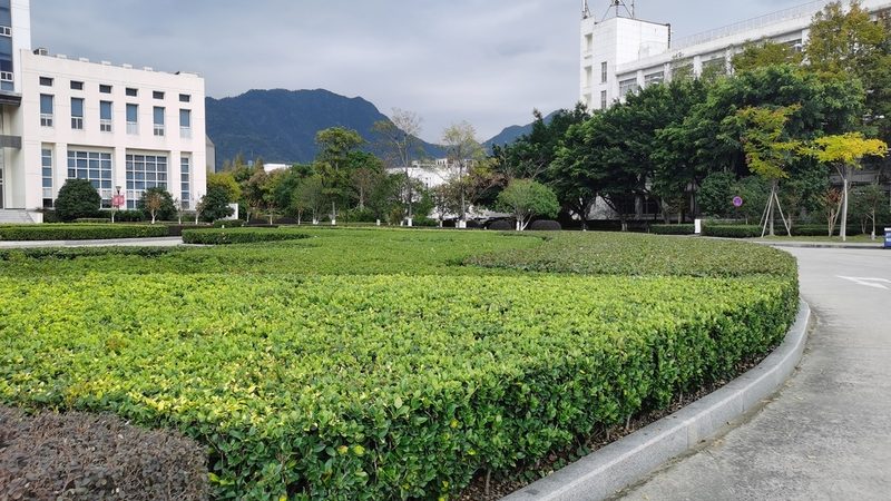 屋顶草坪施工材料规格揭秘：如何打造绿色生态屋顶