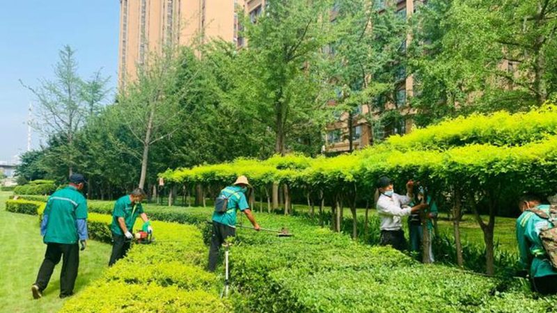 揭秘小区园林绿化设计：十大品牌背后的设计理念与趋势