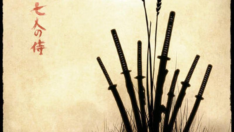 土球包扎材料：如何选择，保障苗木移植成活率